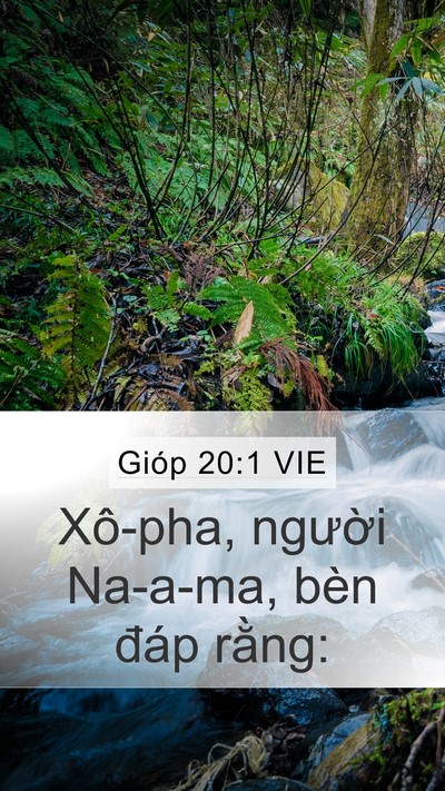 Gióp 20:1 VIE Bible Verse Image