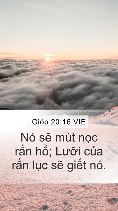 Gióp 20:16 VIE Bible Verse Image
