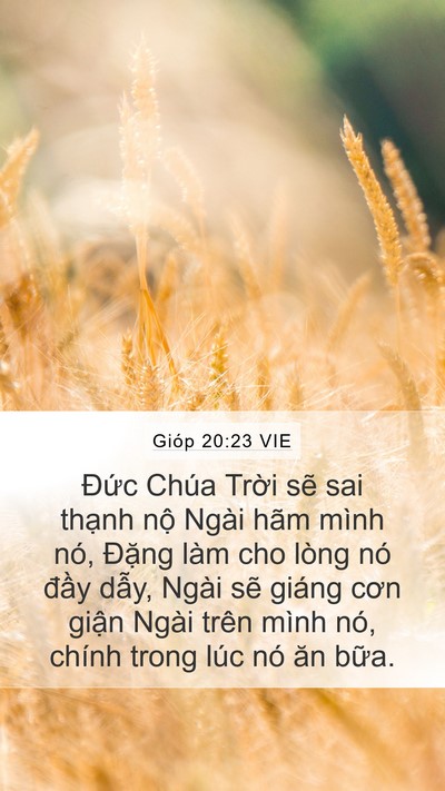 Gióp 20:23 VIE Bible Verse Image