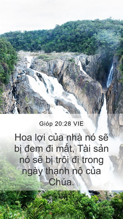 Gióp 20:28 VIE Mobile Phone Wallpaper - Hoa lợi của nhà nó sẽ bị đem đi - Mobile Bible Verse Wallpaper