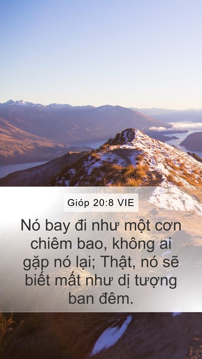 Gióp 20:8 VIE Bible Verse Image