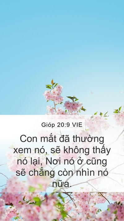 Gióp 20:9 VIE Bible Verse Image