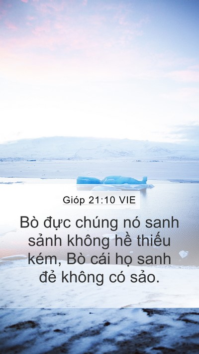 Gióp 21:10 VIE Bible Verse Image