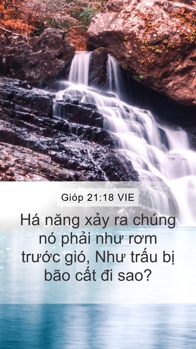 Gióp 21:18 VIE Bible Verse Image