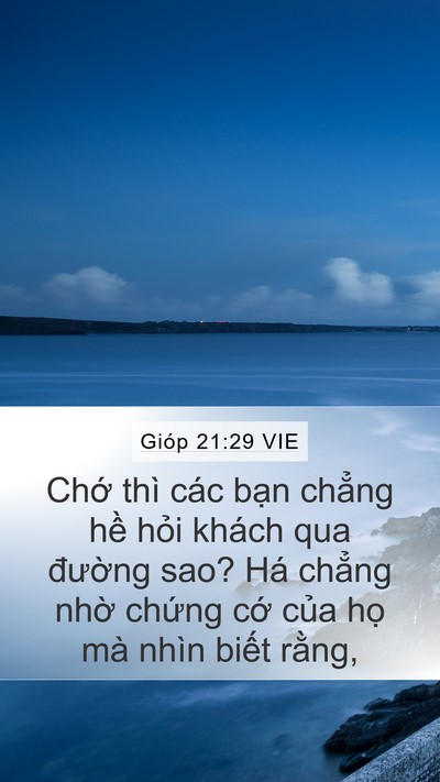 Gióp 21:29 VIE Bible Verse Image