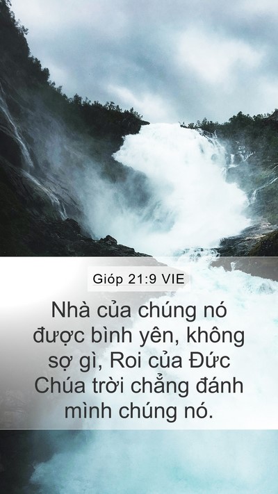 Gióp 21:9 VIE Bible Verse Image