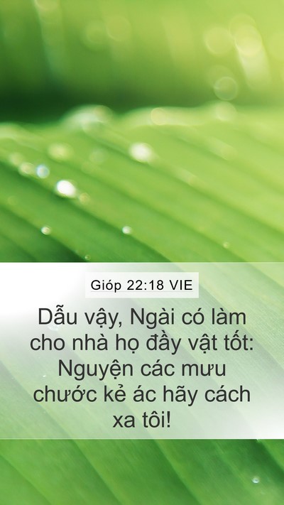 Gióp 22:18 VIE Bible Verse Image