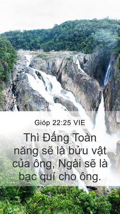 Gióp 22:25 VIE Bible Verse Image