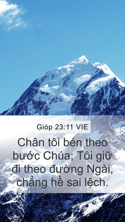 Gióp 23:11 VIE Bible Verse Image