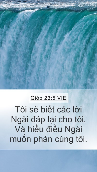 Gióp 23:5 VIE Bible Verse Image