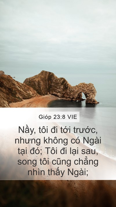 Gióp 23:8 VIE Bible Verse Image