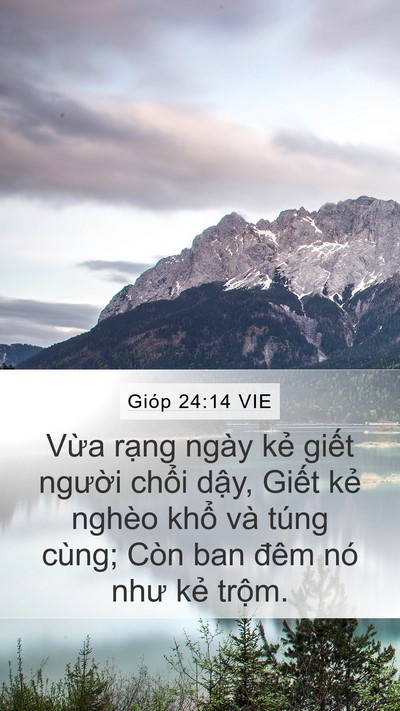 Gióp 24:14 VIE Bible Verse Image