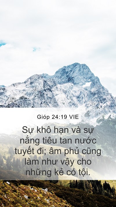 Gióp 24:19 VIE Bible Verse Image