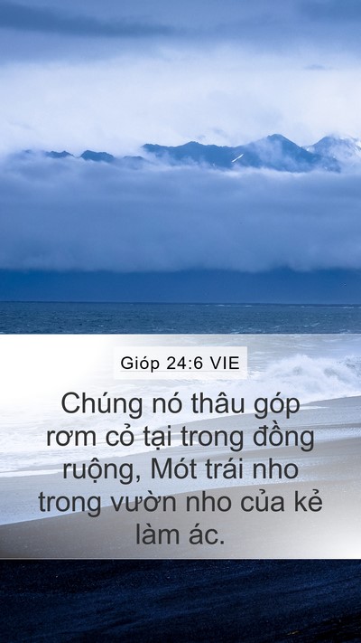 Gióp 24:6 VIE Mobile Phone Wallpaper - Chúng nó thâu góp rơm cỏ tại trong - Mobile Bible Verse Wallpaper