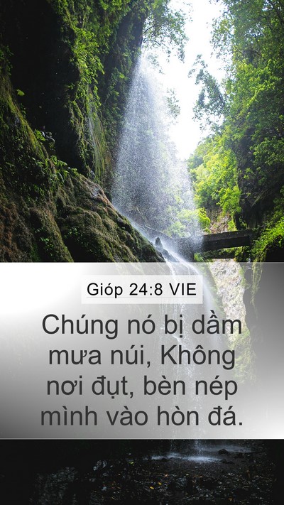 Gióp 24:8 VIE Mobile Phone Wallpaper - Chúng nó bị dầm mưa núi, Không nơi - Mobile Bible Verse Wallpaper