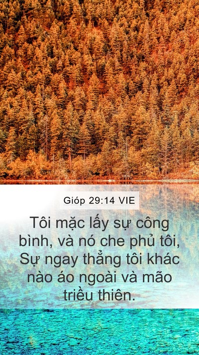 Gióp 29:14 VIE Bible Verse Image