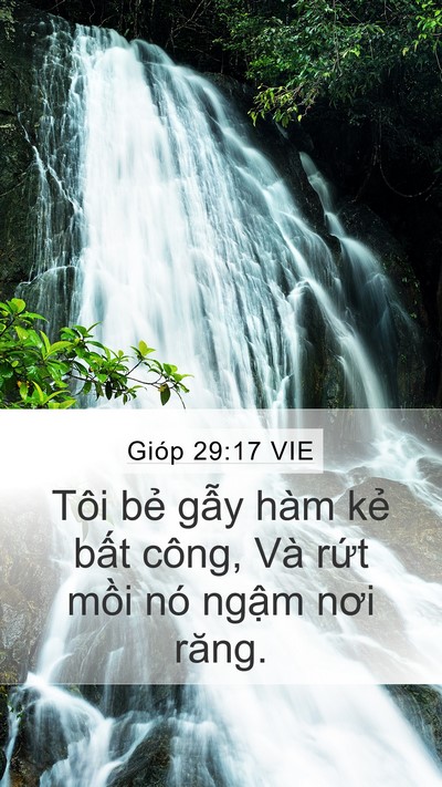 Gióp 29:17 VIE Mobile Phone Wallpaper - Tôi bẻ gẫy hàm kẻ bất công, Và rứt - Mobile Bible Verse Wallpaper