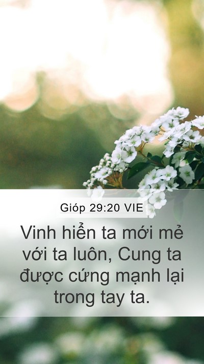 Gióp 29:20 VIE Bible Verse Image