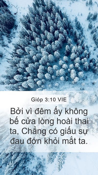 Gióp 3:10 VIE Bible Verse Image