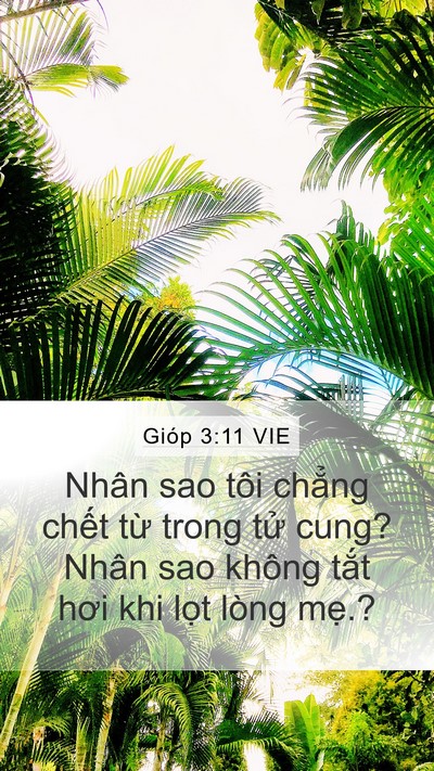 Gióp 3:11 VIE Bible Verse Image