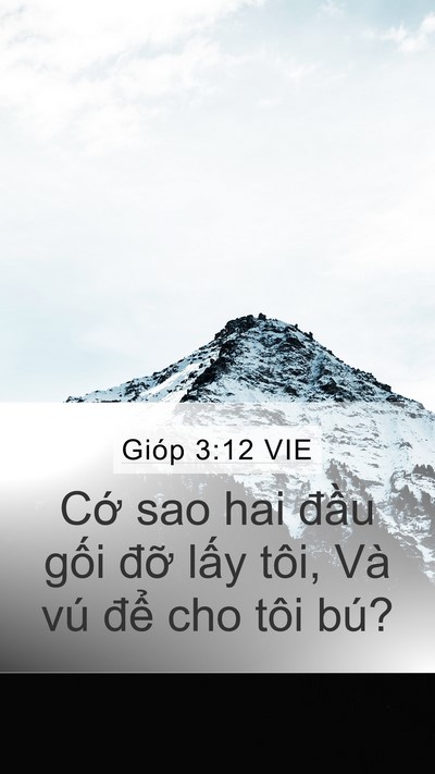 Gióp 3:12 VIE Mobile Phone Wallpaper - Cớ sao hai đầu gối đỡ lấy tôi, Và - Mobile Bible Verse Wallpaper