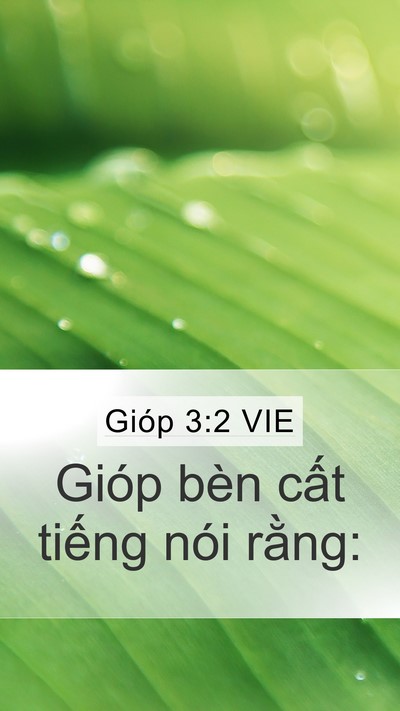 Gióp 3:2 VIE Mobile Phone Wallpaper - Gióp bèn cất tiếng nói - Mobile Bible Verse Wallpaper
