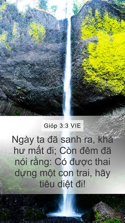 Gióp 3:3 VIE Bible Verse Image