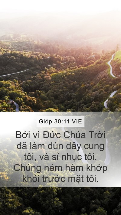 Gióp 30:11 VIE Mobile Phone Wallpaper - Bởi vì Đức Chúa Trời đã làm dùn dây - Mobile Bible Verse Wallpaper