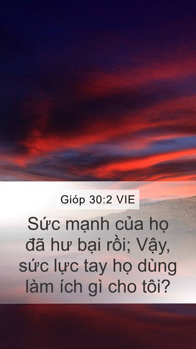 Gióp 30:2 VIE Mobile Phone Wallpaper - Sức mạnh của họ đã hư bại rồi; - Mobile Bible Verse Wallpaper