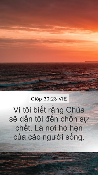 Gióp 30:23 VIE Bible Verse Image