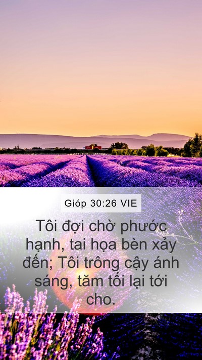 Gióp 30:26 VIE Bible Verse Image