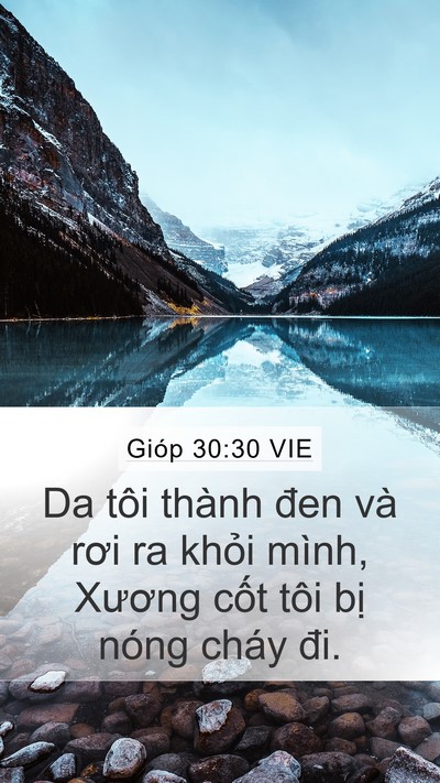 Gióp 30:30 VIE Bible Verse Image