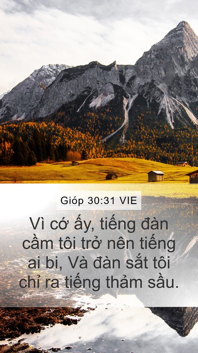 Gióp 30:31 VIE Mobile Phone Wallpaper - Vì cớ ấy, tiếng đàn cầm tôi trở - Mobile Bible Verse Wallpaper