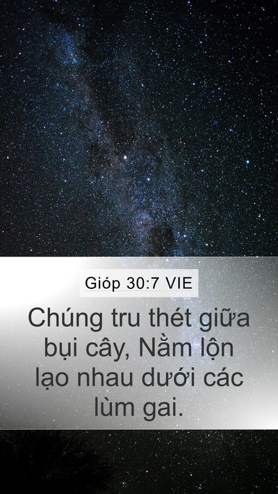 Gióp 30:7 VIE Bible Verse Image