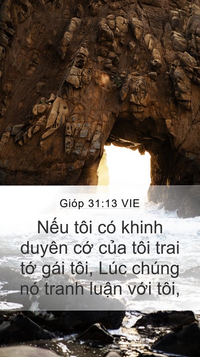Gióp 31:13 VIE Bible Verse Image