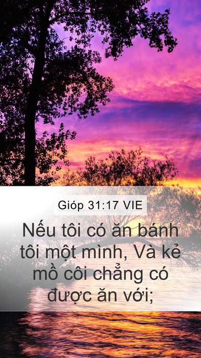 Gióp 31:17 VIE Bible Verse Image