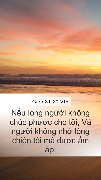Gióp 31:20 VIE Bible Verse Image