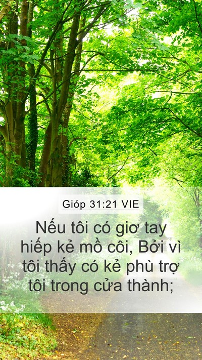 Gióp 31:21 VIE Bible Verse Image