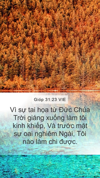 Gióp 31:23 VIE Bible Verse Image