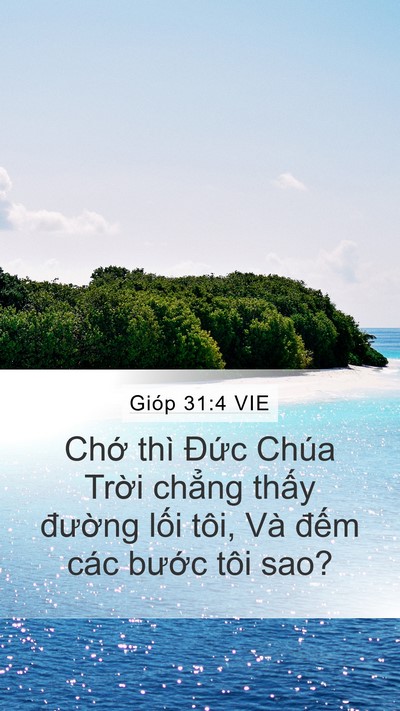 Gióp 31:4 VIE Bible Verse Image