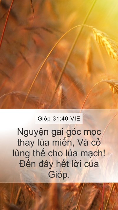 Gióp 31:40 VIE Bible Verse Image
