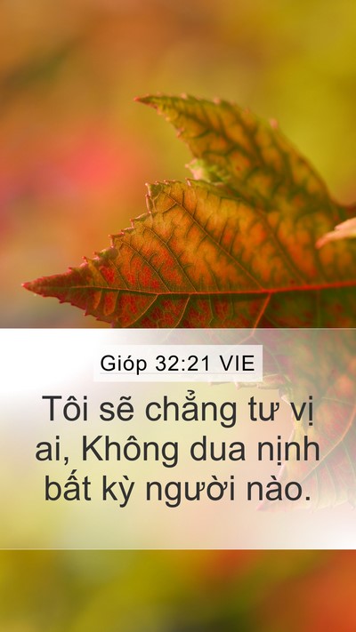 Gióp 32:21 VIE Bible Verse Image