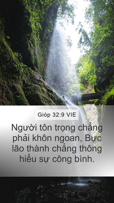 Gióp 32:9 VIE Bible Verse Image