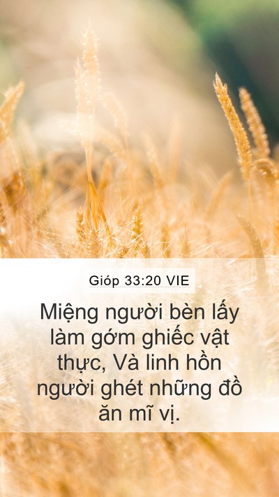 Gióp 33:20 VIE Bible Verse Image