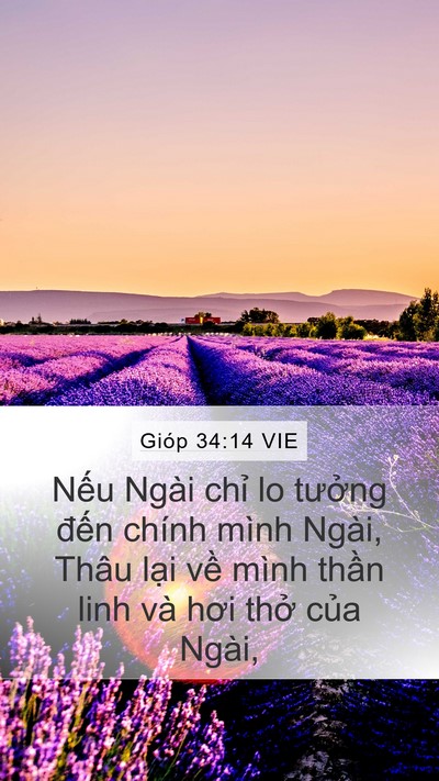 Gióp 34:14 VIE Bible Verse Image