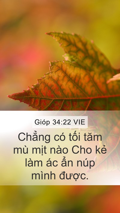 Gióp 34:22 VIE Bible Verse Image