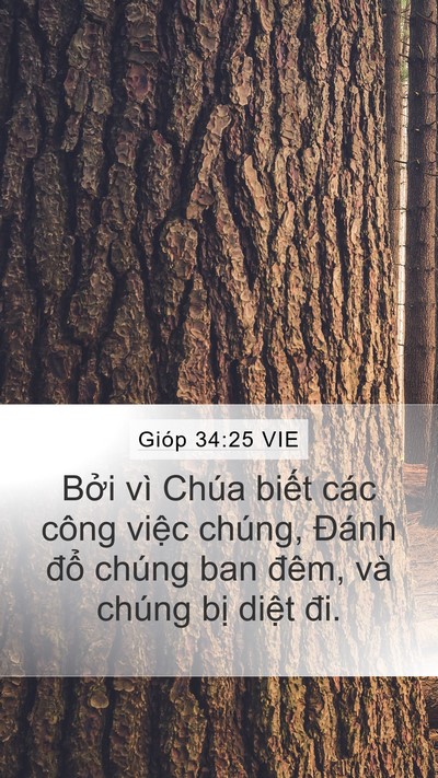Gióp 34:25 VIE Bible Verse Image