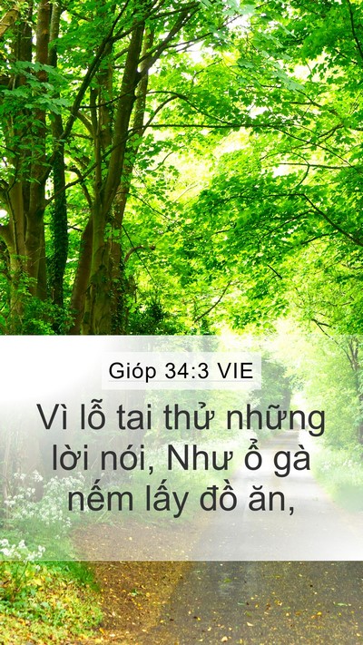 Gióp 34:3 VIE Bible Verse Image