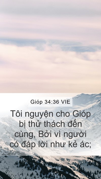 Gióp 34:36 VIE Bible Verse Image