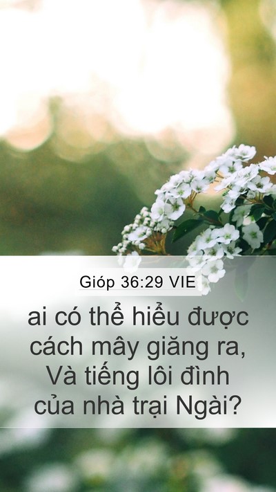 Gióp 36:29 VIE Bible Verse Image